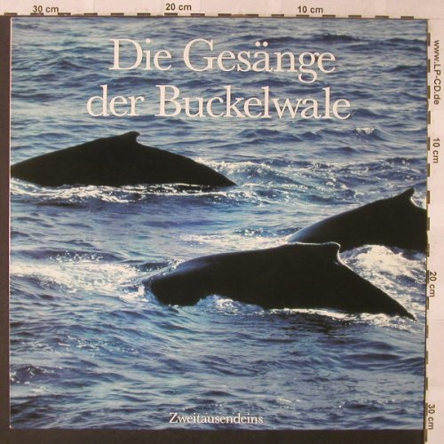 Gesänge der Buckelwale: Wal-Solo...Der drei Wale-Trip, Blue Angel(BA 29020), D,  - LP - F464 - 5,00 Euro