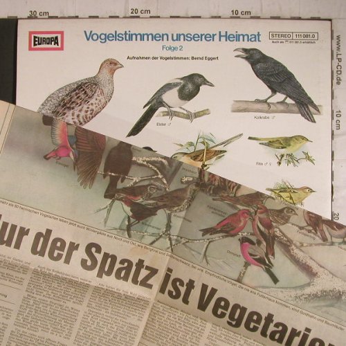 Vogelstimmen unserer Heimat: Folge 2, Europa(111 081.0), D, 1977 - LP - F7441 - 5,00 Euro