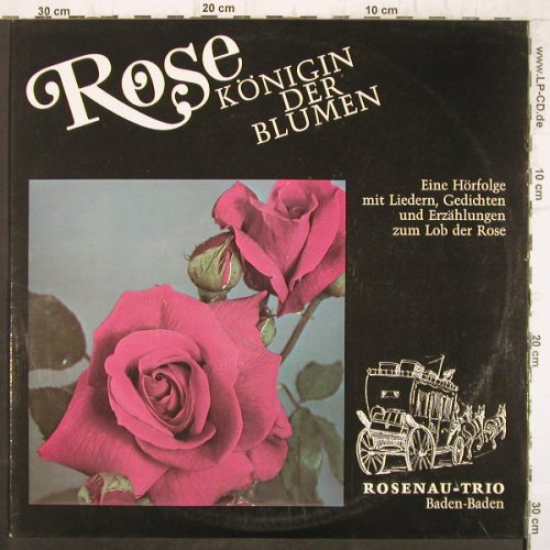 Rosenau-Trio , Baden Baden: Rose Königin der Blumen, Adele Sandrock Studio(RT8), D,  - LP - F8936 - 6,00 Euro