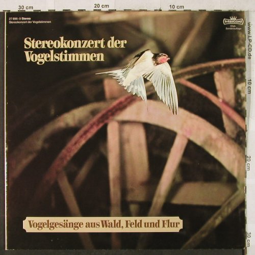 Stereokonzert der Vogelstimmen: Vogelgesänge a.Wald,Feld u.Flur, Intercord,Foc(27 896-0), D, Club.Ed, 1980 - 2LP - H3423 - 7,50 Euro