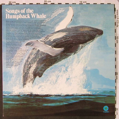 Humpback Whale: Songs of the , Ri, Capitol(ST-620), US, 1970 - LP - H4516 - 5,00 Euro