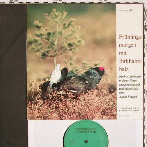 Birkhahnbalz - Frühlingsmorgen mit: Nach Aufnahmen in der freien Natur, Verlag Paul Parey (PAR 1), D,woc,Mono Typ: 10" Best.-Nr.: V3816 Preis: 7,50 Euro