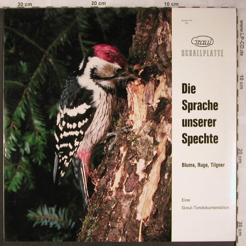 Spechte - Die Sprache unserer: Blume Ruge Tilgner, 12 S.Booklet, AGM/Graul Tondoku.(742), D, Foc,  - LP - X5294 - 7,50 Euro