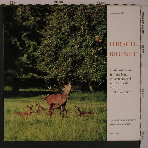 Hirschbrunft: Nach Aufnahmen in der freien Natur, Verlag Paul Parey(PAR 2), D,  - LP - X6964 - 10,50 Euro