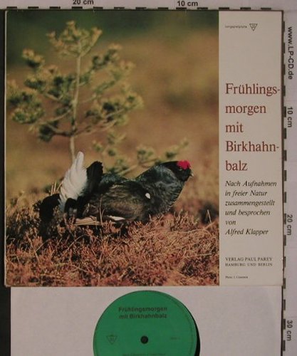 Birkhahnbalz - Frühlingsmorgen mit: Nach Aufnahmen in der freien Natur, Verlag Paul Parey(PAR 1), D, woc,  - 10inch - X6965 - 7,50 Euro