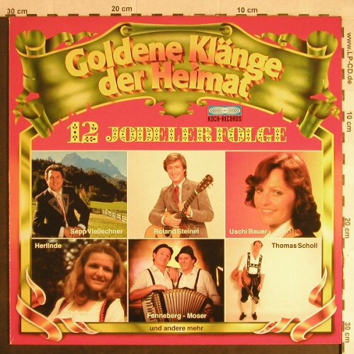 V.A.12 Jodelerfolge: Goldene Klänge der Heimat, Koch(42138 8), A,Club Ed, 1985 - LP - H326 - 6,00 Euro