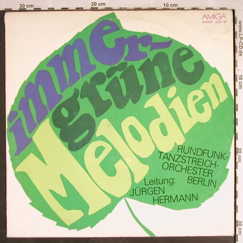 Rundfunk-Tanzstreich-Orchester: Immer grüne Melodien,Jürgen Hermann, Amiga, m-/vg(8 55 139), DDR, 1978 - LP - H7783 - 7,50 Euro