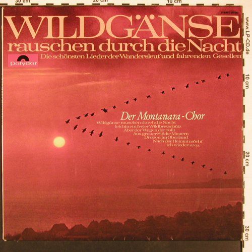 Montanara Chor: Wildgänse rauschen durch die Nacht, Polydor(237 232), D, 1965 - LP - X9297 - 9,00 Euro