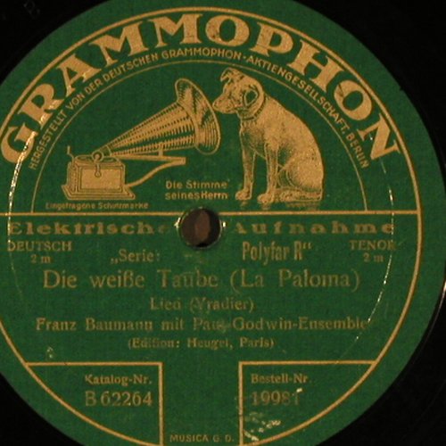 Baumann,Franz m.Paul Godwin Ensemb.: Die weiße Taube(La Paloma), Grammophon(19981), D, 192? - 30cm - N157 - 7,50 Euro