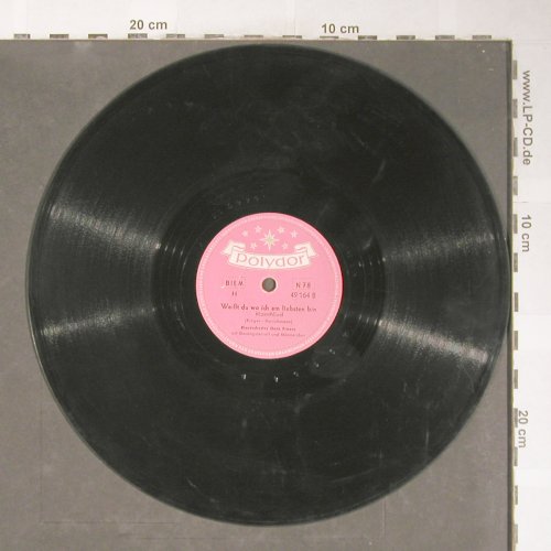 Blasorchester Hans Freese: Mir hat ein kleines Vögelchen gesun, Polydor(49 164), D, vg+, 1954 - 25cm - N205 - 4,00 Euro