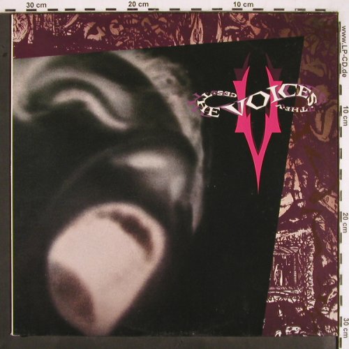 Voices (the Voices): Same, MCA (256 828-1), D, 1989 Typ: LP Best.-Nr.: V2431 Preis: 5,00 Euro