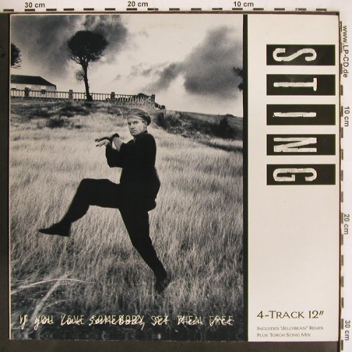Sting: If You Love Sombody Set...*3+1, AM (392 018-1), NL, 1985 Typ: 12" Best.-Nr.: V2545 Preis: 5,00 Euro