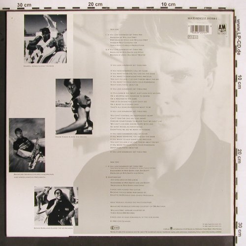 Sting: If You Love Sombody Set...*3+1, AM (392 018-1), NL, 1985 Typ: 12" Best.-Nr.: V2545 Preis: 5,00 Euro