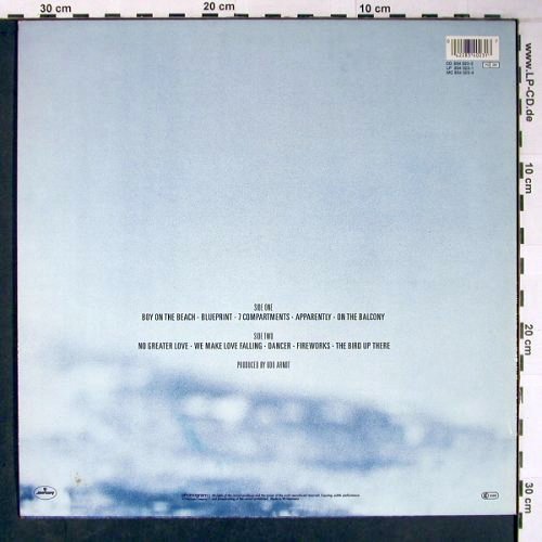 Rainbirds: Same, Mercury (834 023-1), D, 1987 Typ: LP Best.-Nr.: V3107 Preis: 5,00 Euro