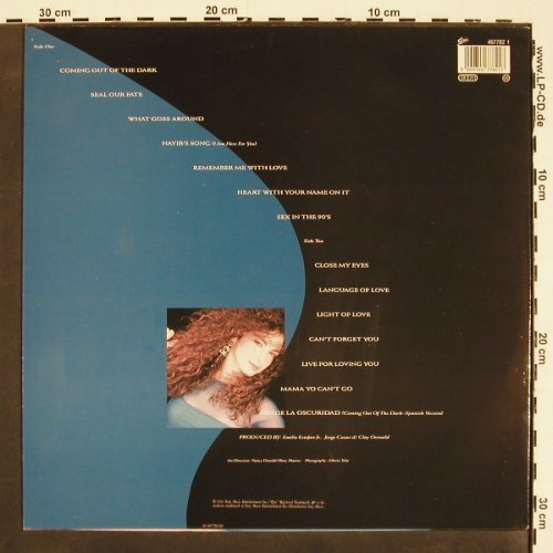 Estefan,Gloria: Into The Light, Epic(467782 1), NL, 1991 - LP - V4537 - 6,00 Euro