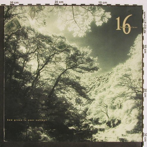 16 Tambourines: Haw green is your valley ?, Arista(210 307), D, 1989 - LP - V4554 - 7,50 Euro