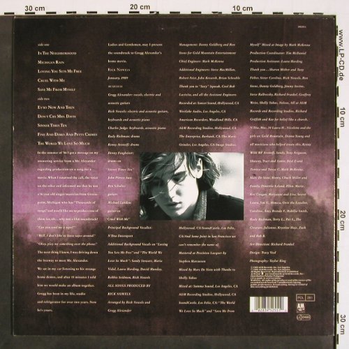 Alexander,Greg: Michigan Rain, A&M(395 255-1), D, 1989 - LP - V4610 - 7,50 Euro