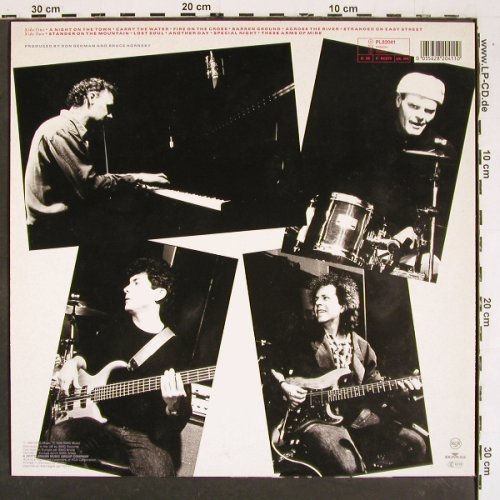 Hornsby,Bruce and the Range: A Night On The Town, RCA(PL82041), D, 1990 - LP - V5633 - 6,00 Euro