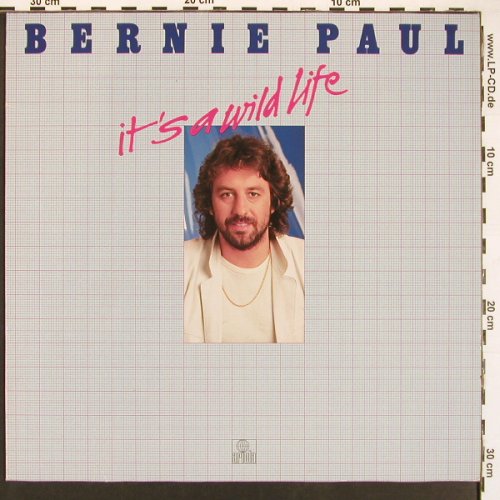 Paul,Bernie: It's A Wild Life, Ariola(203 766-320), D, 1981 - LP - V5952 - 5,00 Euro