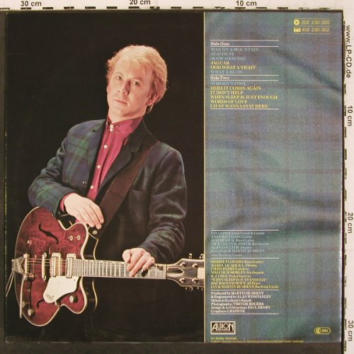 Gomm,Ian: What A Blow, Albion/Ariola(202 230-320), D, 1980 - LP - V6723 - 7,50 Euro