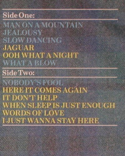 Gomm,Ian: What A Blow, Albion/Ariola(202 230-320), D, 1980 - LP - V6723 - 7,50 Euro