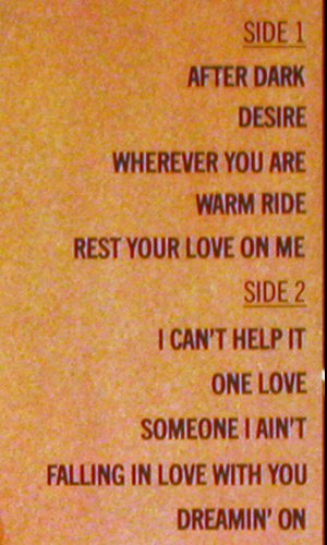 Gibb,Andy: After Dark, RSO(2394 247), D, 1980 - LP - V6725 - 7,50 Euro