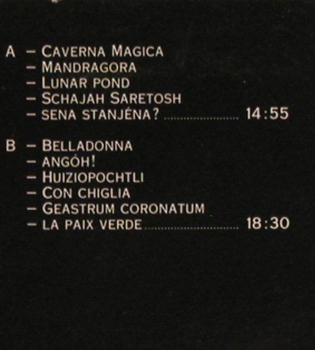 Vollenweider,Andreas: Caverna Magica, CBS (CBS 25 265), NL, 1983 Typ: LP Best.-Nr.: V7534 Preis: 9,00 Euro.