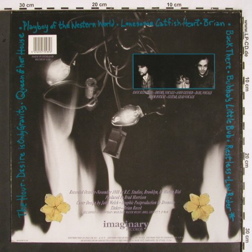 Spiral Jetty: Dogstar, Imaginary (Illusion 018), NL, 1990 Typ: LP Best.-Nr.: V2432 Preis: 6,00 Euro