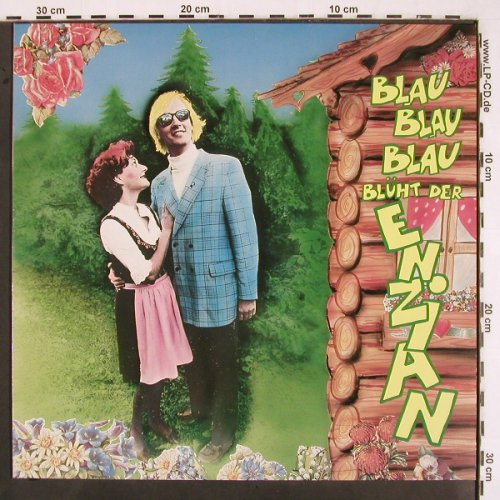 Toten Hosen: Blau,blau,blau Blüht der Enzian, Virgin TOT 188 (602 052-213), D, 1985 Typ: 12" Best.-Nr.: V2553 Preis: 6,00 Euro