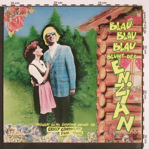 Toten Hosen: Blau,blau,blau Blüht der Enzian, Virgin TOT 188 (602 052-213), D, 1985 Typ: 12" Best.-Nr.: V2553 Preis: 6,00 Euro
