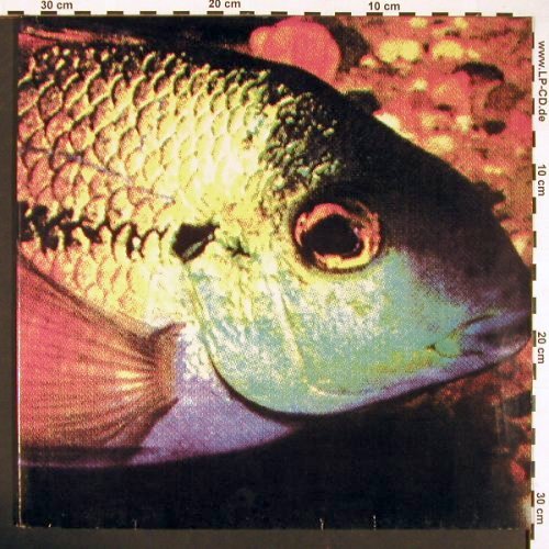 Bomb Party: Fish, Foc, Normal (103), D Typ: LP Best.-Nr.: V5123 Preis: 6,00 Euro