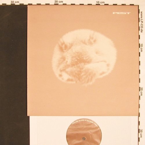 Pest: Jefferson shuffle c/w Child o.t..., Ninja Tune(zen 10123), UK, 2002 - 10inch - V5178 - 6,00 Euro