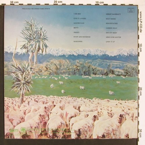 Split Enz: Frenzy, AM(SP 69827), AUS, 1981 - LP - V5884 - 9,00 Euro