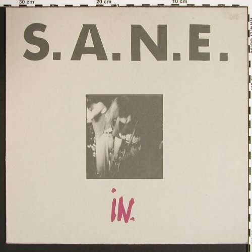 S.A.N.E.: In., Big Store(EFA 04658 08 LP), D, 1990 - LP - V7061 - 12,50 Euro