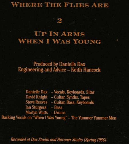 Dax,Danielle: Where The Flies Are+2, Awesome Records(AOR 6T), UK, 1986 - 12inch - Y345 - 4,00 Euro