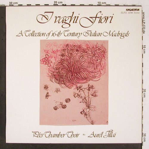 V.A.Italian Madrigals: A Collection of 16-th Century, Hungaroton(SLPX 12546), H, 1984 - LP - K1516 - 7,50 Euro