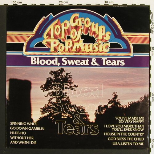 Blood,Sweat & Tears: Top Groups Of Pop Music, Memory(296 989-245), D, Ri, 1981 - LP - V7152 - 6,00 Euro