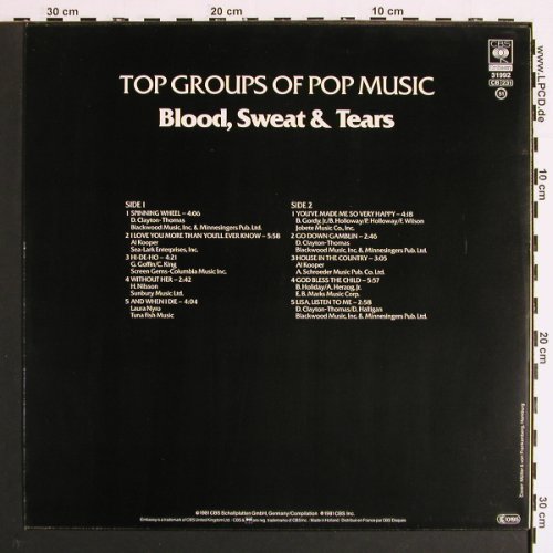 Blood,Sweat & Tears: Top Groups Of Pop Music, Memory(296 989-245), D, Ri, 1981 - LP - V7152 - 6,00 Euro