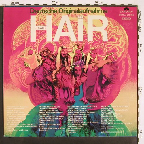 Hair / Haare: Orig.Aufn.deutschspr.  Uraufführung, Polydor (249 266), D, 1968 Typ: LP Best.-Nr.: V2695 Preis: 5,00 Euro