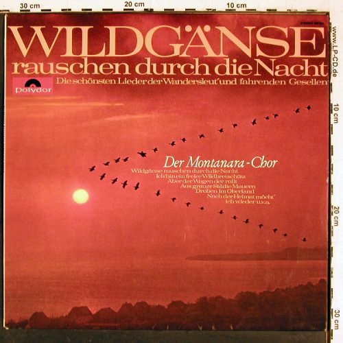 Montanara Chor: Wildgänse rauschen durch die Nacht, Polydor (237 232), D, 1965 Typ: LP Best.-Nr.: V5947 Preis: 7,50 Euro